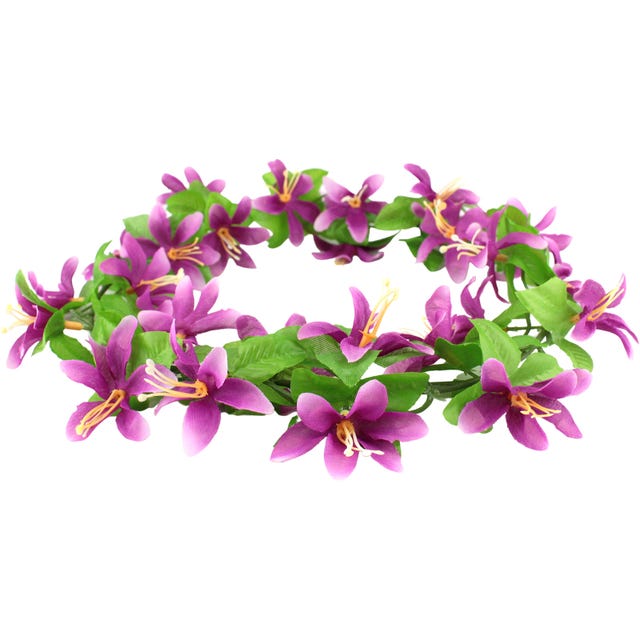 50 free spins insect world hd